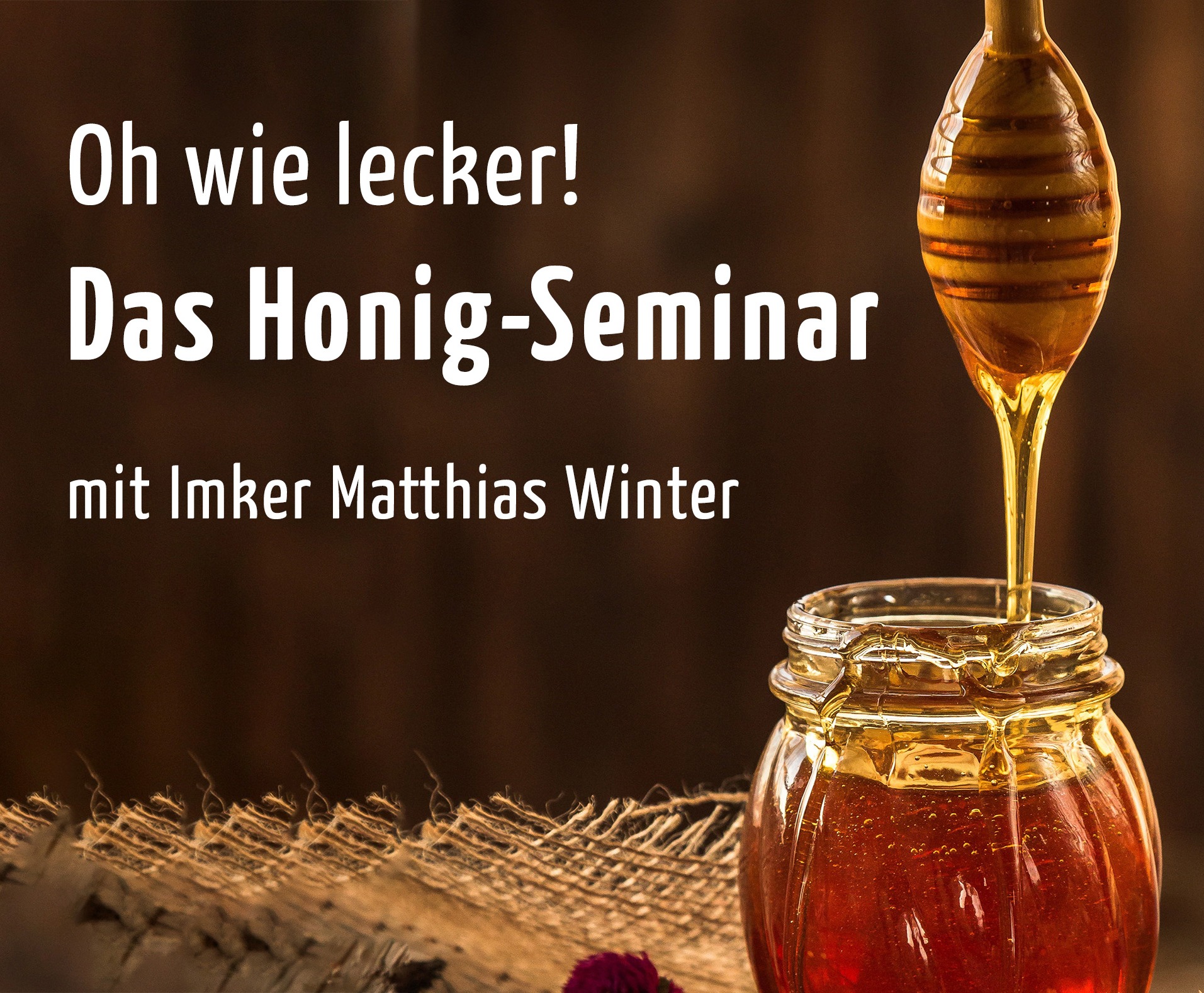 Zum Honig-Seminar mit Imker Matthias Winter
